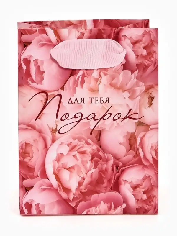 Пакет ламинированный «Подарок для тебя», 9 × 12 × 6,5 см Пакет ламинированный «Подарок для тебя», 9 × 12 × 6,5 см