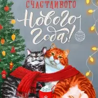 Пакет подарочный новогодний ламинированный &laquo;Счастливого нового года&raquo;, 18&times;10&times;22.3 см