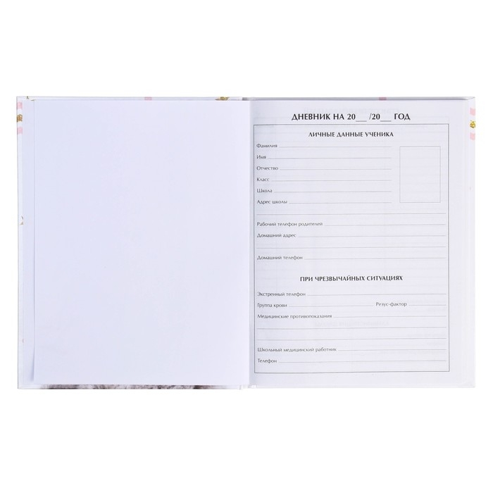 Дневник школьный для 1-11 классов, «Котенок с розами», твёрдая обложка 7БЦ, глянцевая ламинация, 40 листов Дневник школьный для 1-11 классов, «Котенок с розами», твёрдая обложка 7БЦ, глянцевая ламинация, 40 листов