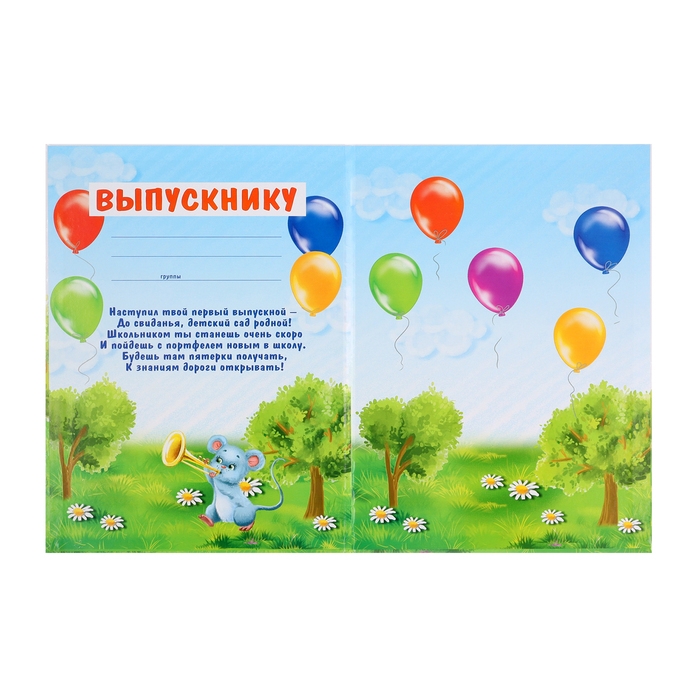 Папка &laquo;Выпускник детского сада&raquo;, А4, без файлов