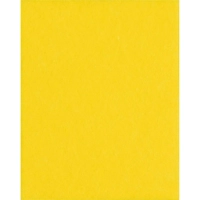 Салфетки хозяйственные Luscan универсальные вискоза 90г/м2 30х38 см 3шт/уп