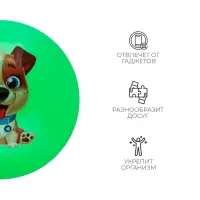 Мяч детский &laquo;Пёсик&raquo;, d=22 см, МИКС