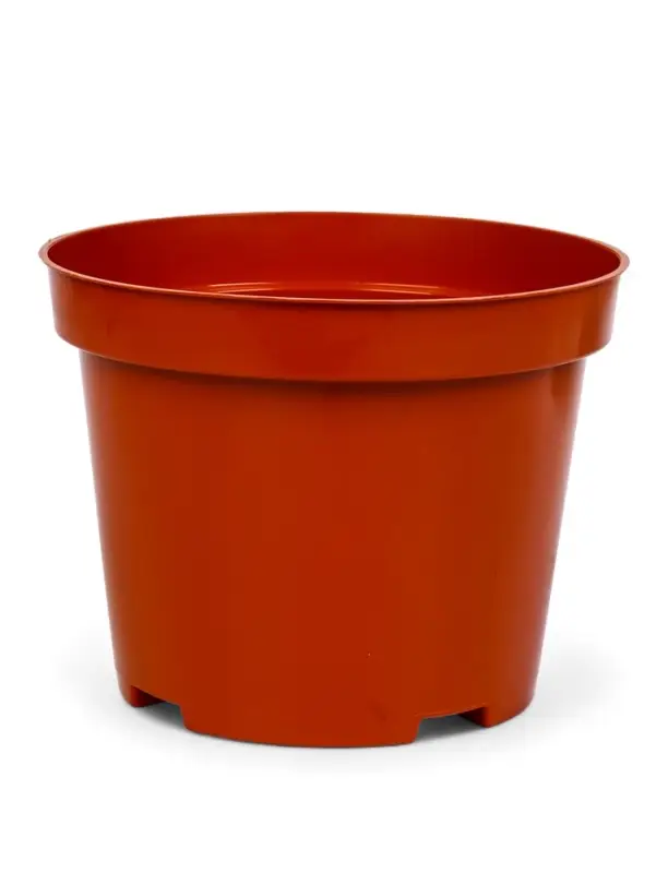 Горшок для рассады, 3 л, d=19 см, h=15 см, МИКС, Greengo