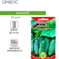 Семена Огурец "Орфеус", F1, 10 шт