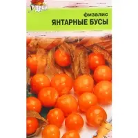 Семена Физалис "ЯНТАРНЫЕ БУСЫ", 0,1 г
