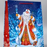 Пакет подарочный новогодний ламинированный, «Дед Мороз в лесу» , 26×12×32 см Пакет подарочный новогодний ламинированный, «Дед Мороз в лесу» , 26×12×32 см