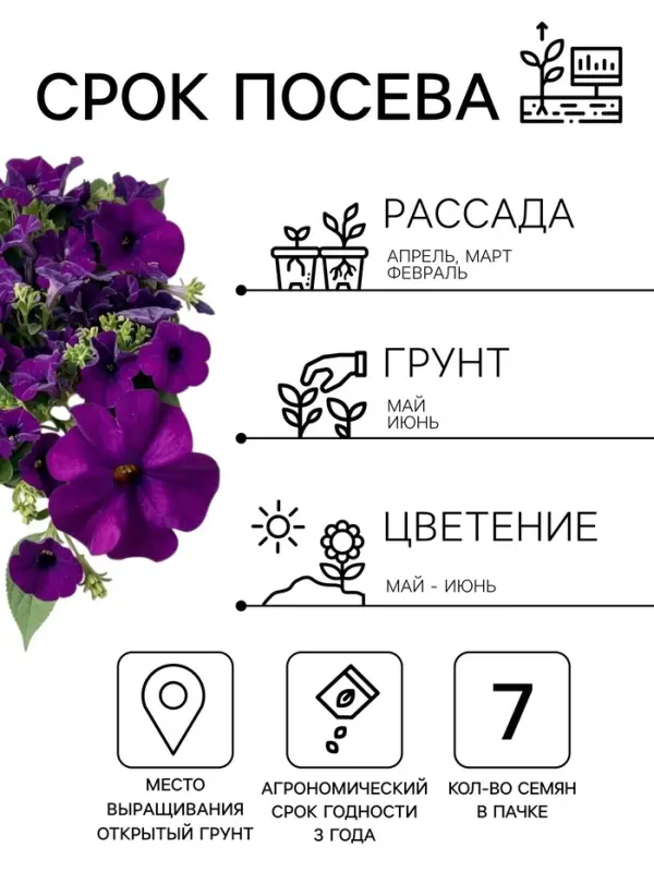 Семена цветов Петуния &laquo;БУУМ! Эйч Ди&raquo; F1, блю, многоцветковая, драже, 7 шт.
