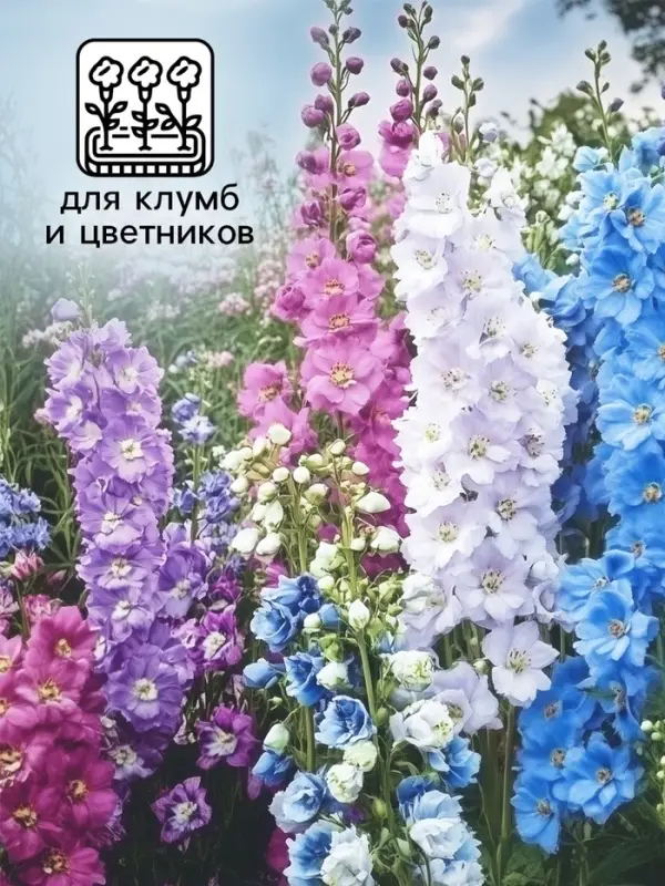 Семена цветов Дельфиниум  Семена цветов Дельфиниум "Король Лондона", 0,1 г,