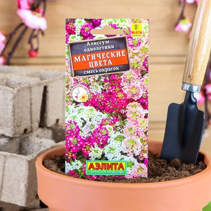 Семена цветов Алиссум  Семена цветов Алиссум "Магические цвета", смесь окрасок, О, 0,03 г