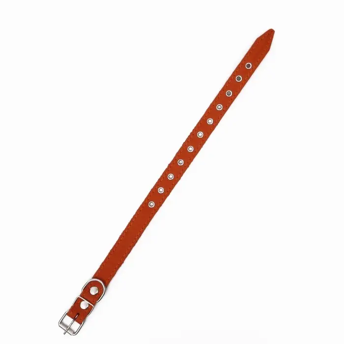 Ошейник однослойный, безразмерный, 56&times;2.5 см, ОШ 17-44 см, кожа, оранжевый
