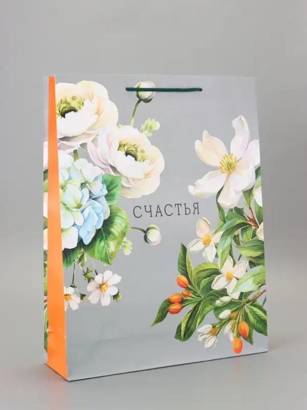 Пакет подарочный ламинированный «Красивой» 33×42.5×10 см Пакет подарочный ламинированный «Красивой» 33×42.5×10 см
