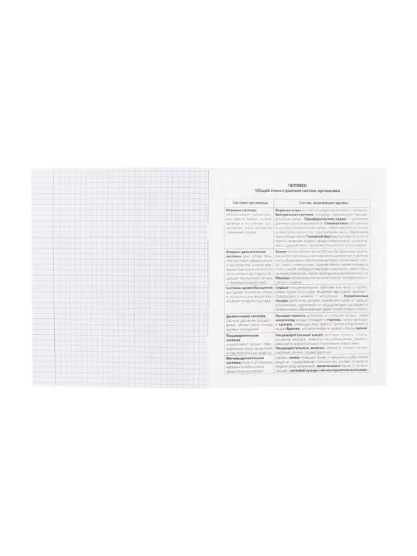 Тетрадь 48 листов в клетку «Приключения кота Пирожка» БИОЛОГИЯ, обложка мелованная бумага, с интерактивным справочником, блок офсет Тетрадь 48 листов в клетку «Приключения кота Пирожка» БИОЛОГИЯ, обложка мелованная бумага, с интерактивным справочником, блок офсет