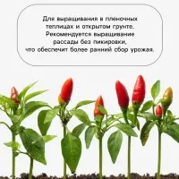 Семена Перец, &laquo;Беладонна&raquo;, F1, 5 шт., Seminis, &laquo;Агрос&raquo;