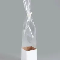 Пакет - переноска для цветов, с белым картонным основанием, 14&times;14&times;20&times;87&plusmn;5% см