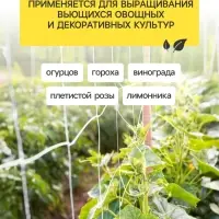 Сетка садовая для огурцов, шпалерная, 10&times;2 м, ячейка 15&times;15 см, Greengo