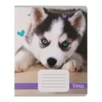 Комплект тетрадей из 10 штук, 18 листов в линию Calligrata "Домашние животные", обложка мелованный картон, ВД-лак, блок офсет, 5 видов по 2 штуки