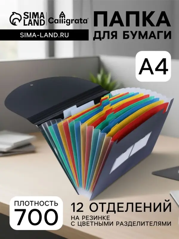 Папка 12 отделений, А4, с цветными разделителями, черная
