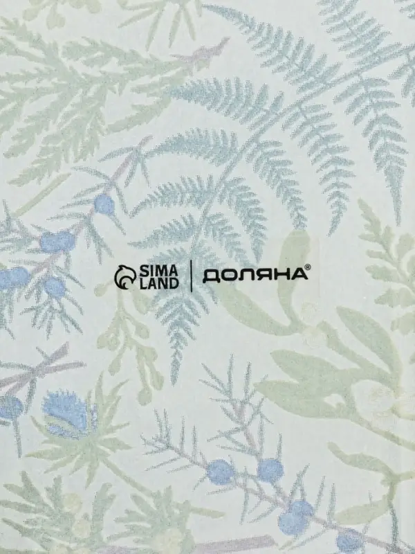 Блюдо сервировочное бутылка Блюдо сервировочное бутылка "Еловые ветки" 25,5x10,4х1,7 см