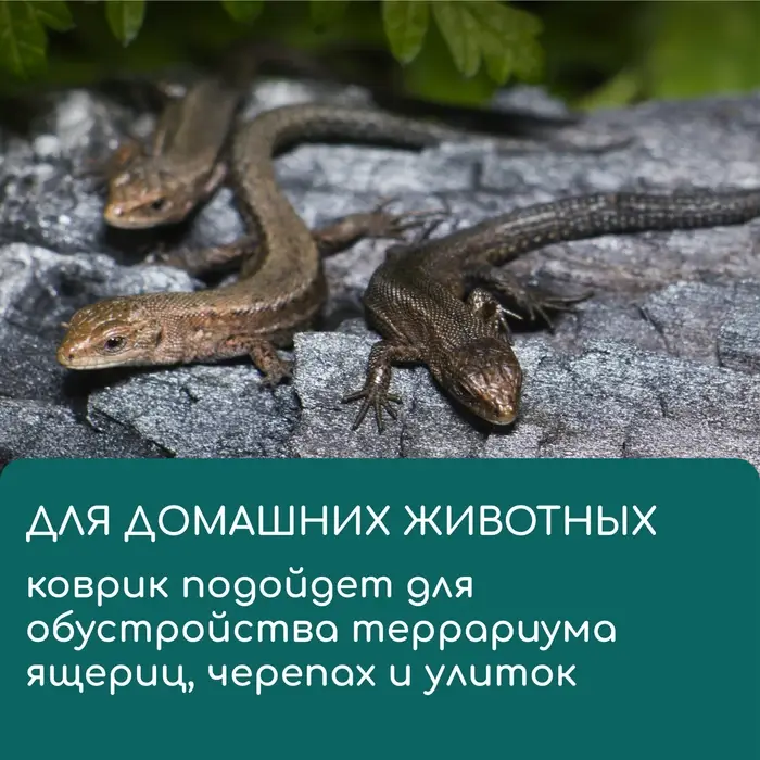 Коврик джутовый для выращивания микрозелени, 10&times;15 см, толщина 1 см, набор 5 шт.