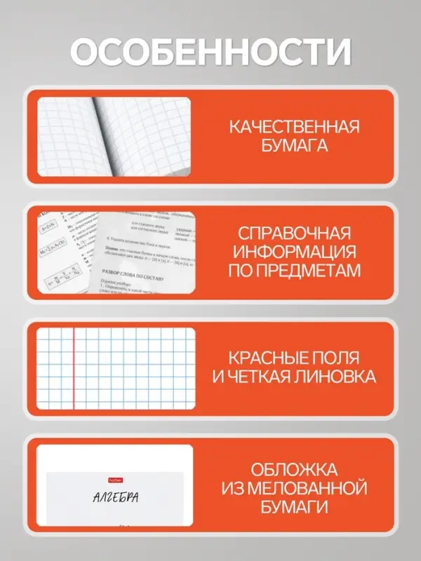 Предметная тетрадь по алгебре Hatber &laquo;Приключения кота Пирожка&raquo;, 48 листов, в клетку, со справочным материалом, обложка из мелованной бумаги