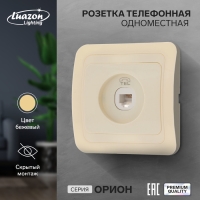 Розетка телефонная одноместная Luazon Lighting "Орион", скрытая, бежевая