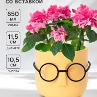 Кашпо для цветов со вставкой &laquo;Стив&raquo;, 650 мл, d=11.5 см, h=10.5 см, жёлтое