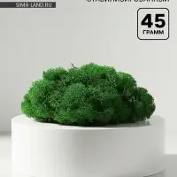 Мох декоративный стабилизированный &laquo;Зелёный&raquo; 45 г (&plusmn;5 г).