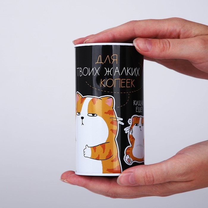 Копилка «Для твоих копеек», 12 х 6,5 см Копилка «Для твоих копеек», 12 х 6,5 см
