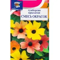 Семена цветов Тунбергия, Смесь окрасок, 0,2 г