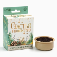 Чай подарочный «Счастья в Новом году», 50 г