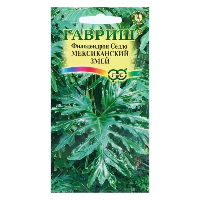 Семена комнатных цветов Филодендрон Селло Семена комнатных цветов Филодендрон Селло "Мексиканский змей", ц/п, 5 шт.