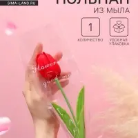 Мыльный тюльпан, красный