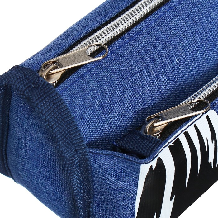 Пенал школьный на молнии Calligrata Пенал школьный на молнии Calligrata "Спорт", 2 отделения, синий