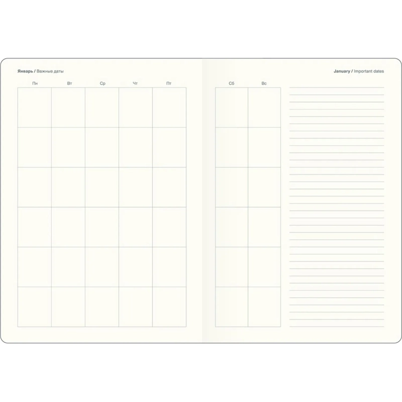 Ежедневник недатированный IF 14х20см 160л, съемн,обл, Grunge I1188/black