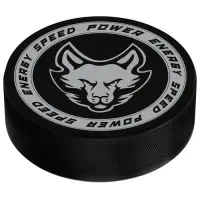 Шайба хоккейная Winter Star, взрослая, d=7.6 см