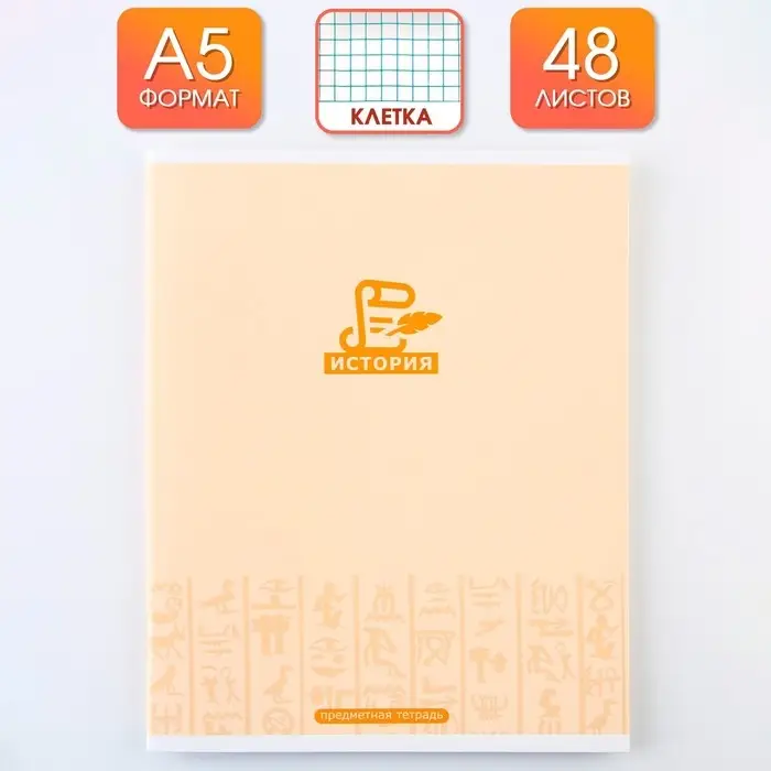 Тетрадь в клетку, предметная, 48 л.,на скрепке, А5 &laquo;МИНИМАЛИЗМ. История&raquo;