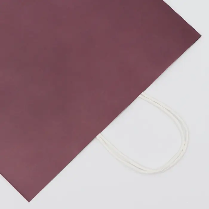 Пакет крафт винный, круглая ручка, 31.5×25×11.5 см, 120 г Пакет крафт винный, круглая ручка, 31.5×25×11.5 см, 120 г