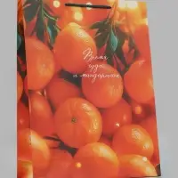 Пакет подарочный &laquo;Время чудес и мандаринок&raquo;, 33&times;10&times;42.5 см