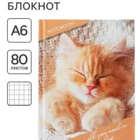 Блокнот А6, 80 листов в клетку &laquo;Соня&raquo;, твёрдая обложка, глянцевая ламинация, блок офсет