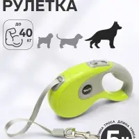 Рулетка DIIL, 5 м, до 40 кг, лента, прорезиненная ручка, зелёная
