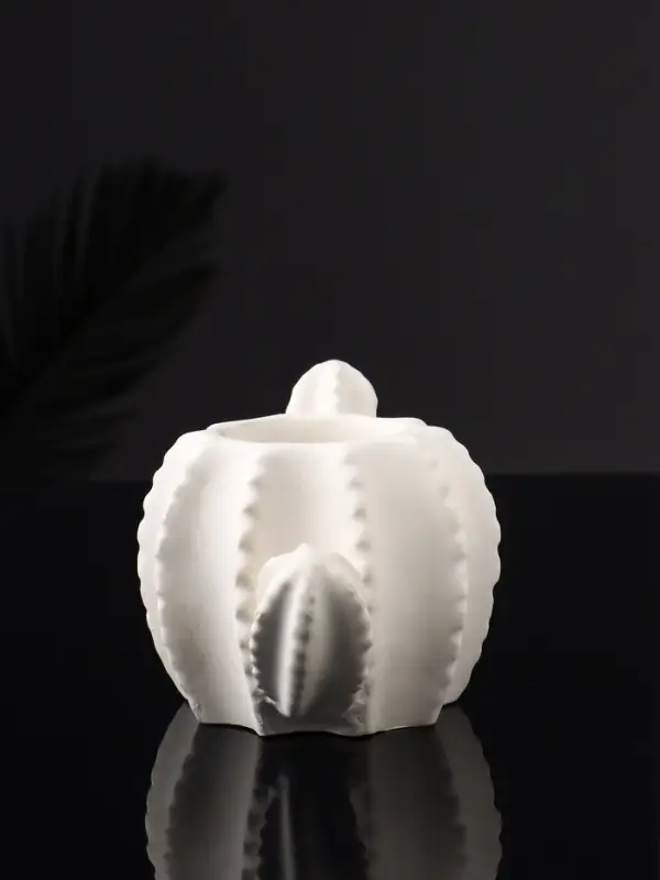 Кашпо "Кактус" 15х8х10 см, натуральный, гипс