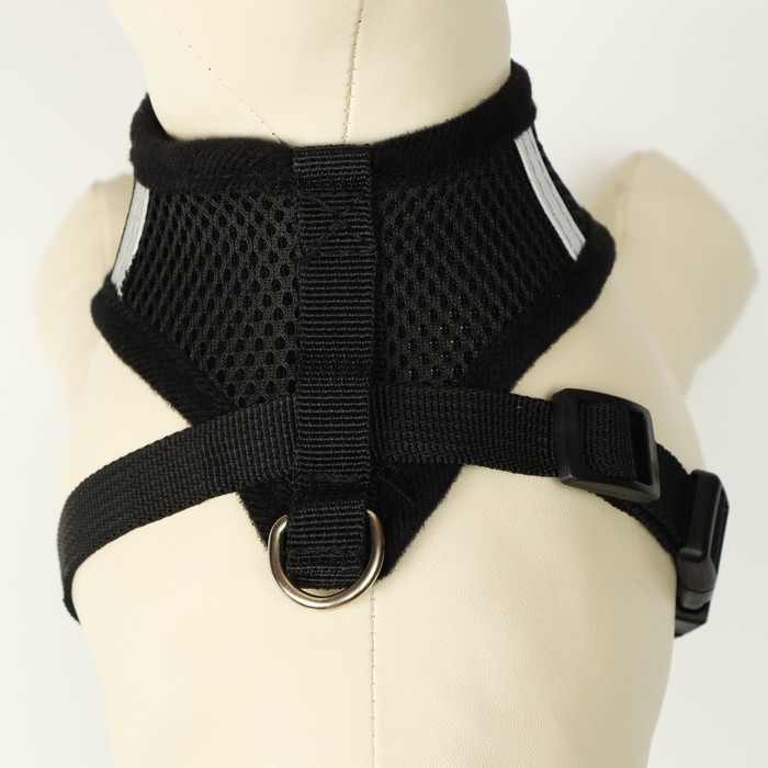 Комплект амуниции со светоотражающей нашивкой, S, ОШ 24 см, ОГ 28-33 см, чёрный Комплект амуниции со светоотражающей нашивкой, S, ОШ 24 см, ОГ 28-33 см, чёрный