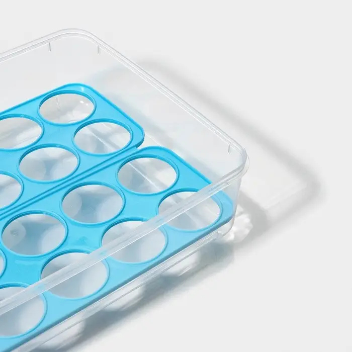 Контейнер для хранения яиц Доляна, 20 ячеек, 27.5&times;22&times;7 см, пластик, прозрачный, голубой