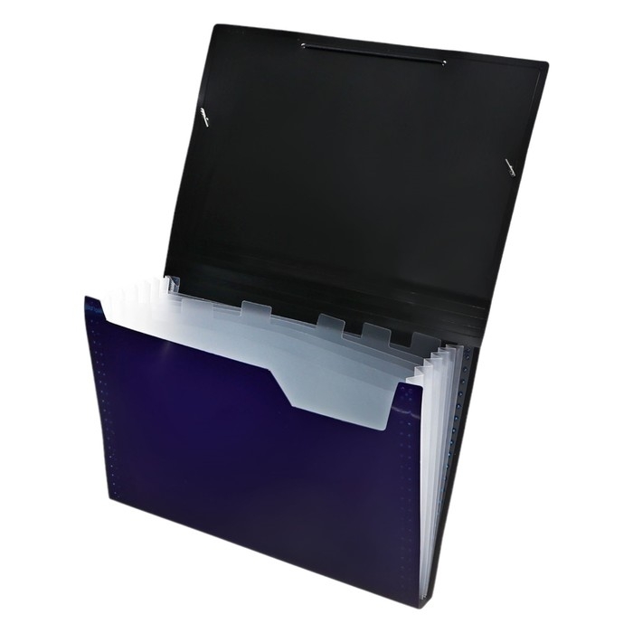 Папка картотека А4, Calligrata TOP DeLuxe, 6 отделений, пластиковая, 1000 мкм, черничная