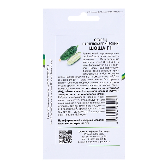Семена огурца   Семена огурца  "Шоша", F1, 5 шт.