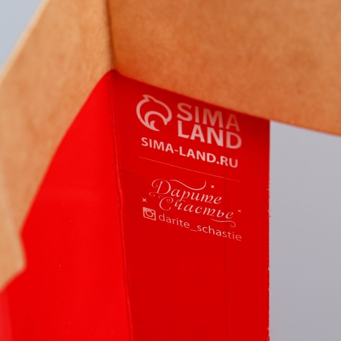 Пакет подарочный новогодний крафтовый с пластиковым окном «Новогодняя ёлка», 24 х 20 х 11см Пакет подарочный новогодний крафтовый с пластиковым окном «Новогодняя ёлка», 24 х 20 х 11см