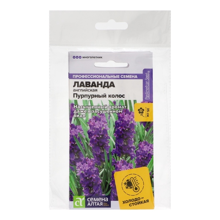 Семена цветов Лаванда  Семена цветов Лаванда "Пурпурный колос",набор 5 шт
