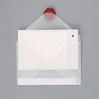 Пакет ламинированный &laquo;Важный момент&raquo;, 22.3&times;9&times;35 см