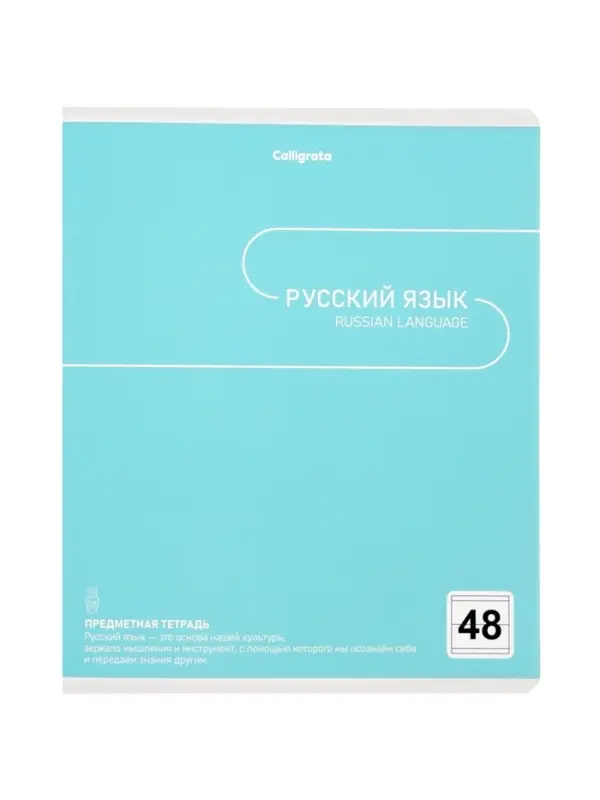 Комплект 12 предметных тетрадей 48 листов, справочная информация, 60гр, Пастель
