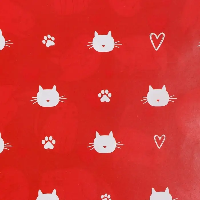 Бумага упаковочная глянцевая двухсторонняя «Коты», 70 х 100 см